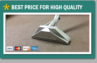 Carpet Steam Cleaners