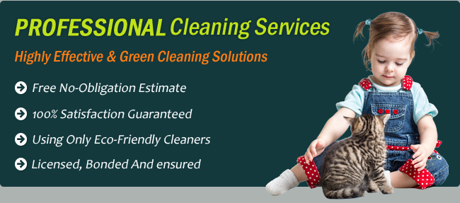professional cleaning services